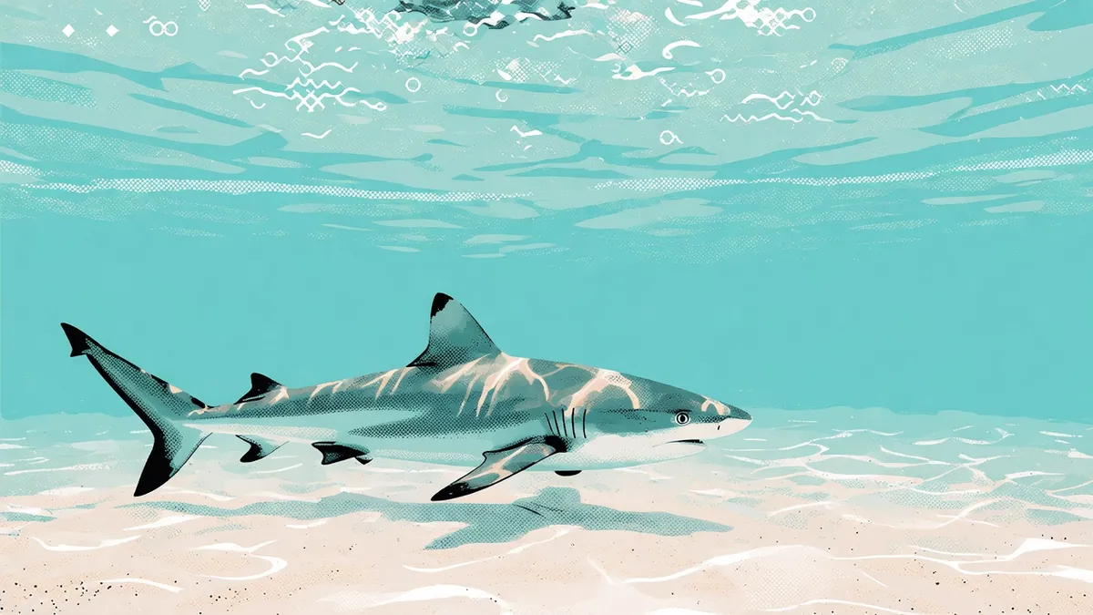 Illustration of a shark over a sandy bottom